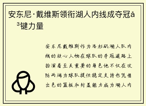 安东尼·戴维斯领衔湖人内线成夺冠关键力量