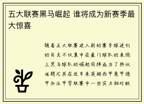 五大联赛黑马崛起 谁将成为新赛季最大惊喜